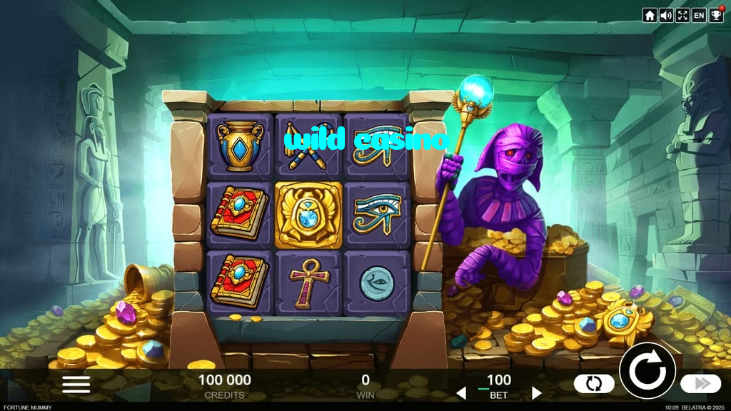 making first deposit on wild casino website using local payment methods in Pakistan