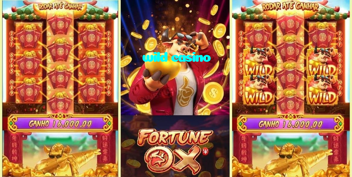 making first deposit on wild casino website using local payment methods in Pakistan
