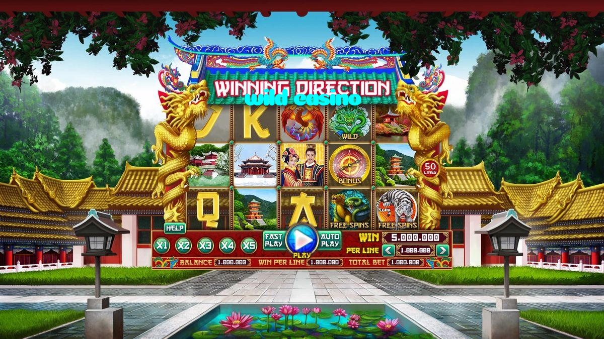wild casino casino presented on mobile device in Pakistan with slots and live games